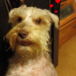 Meet your Posher, Kathy